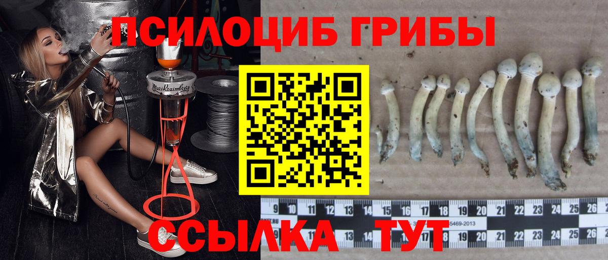 Железноводск  Галлюциногенные грибы Magic Shrooms  Вход с VPN 